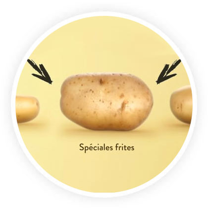 pommes de terre speciales frites