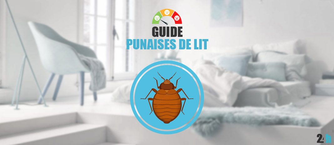 guide punaises de lit guide punaises de lit traitement